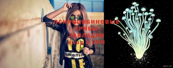 тгк Богородицк
