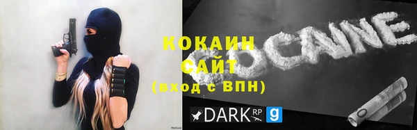 тгк Богородицк