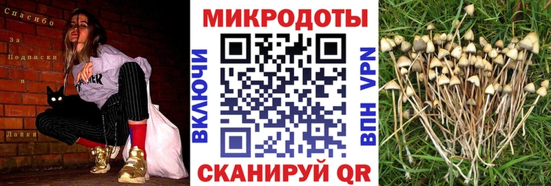 Псилоцибиновые грибы Cubensis  Нижневартовск 