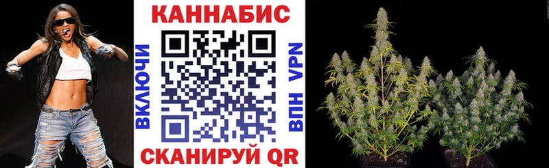 blacksprut как зайти  Нижневартовск  Канабис сатива 